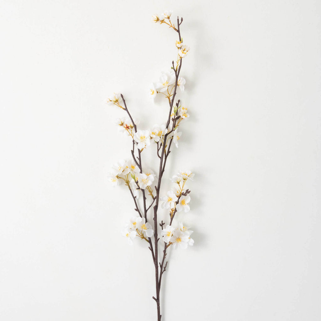 Elegant white apple blossom with yellow stamin spray