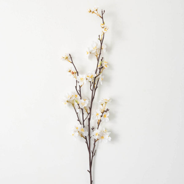 Elegant white apple blossom with yellow stamin spray