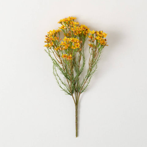 this yellow was flower with whispy green leaves is apox 15 inches tall and 7.5 inches wide 