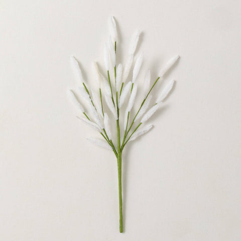 solid white bunny tail flower with green stem.  7.5 average across by 16.5 tall/ long