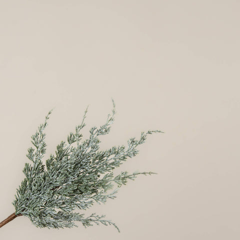 18" GLITTERED WHITE CYPRESS SPRAY