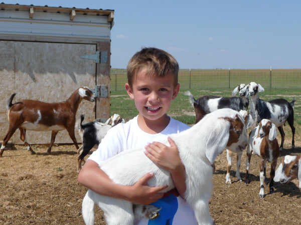Goat Milk Lotion